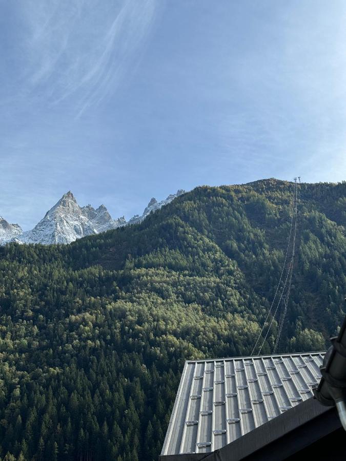 Cocon Au Coeur De Chamonix Avec Parking Gratuit Διαμέρισμα Εξωτερικό φωτογραφία
