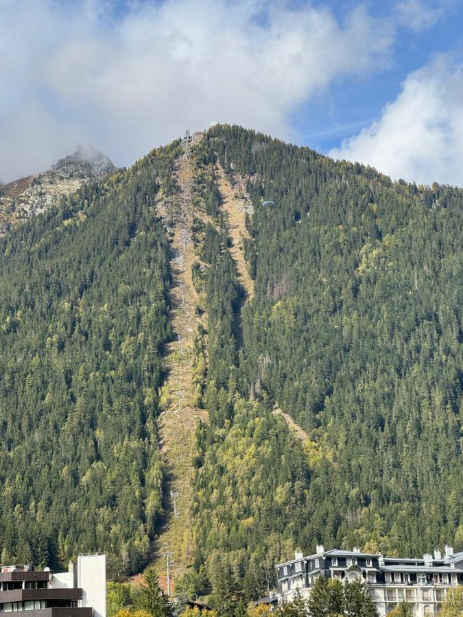 Cocon Au Coeur De Chamonix Avec Parking Gratuit Διαμέρισμα Εξωτερικό φωτογραφία